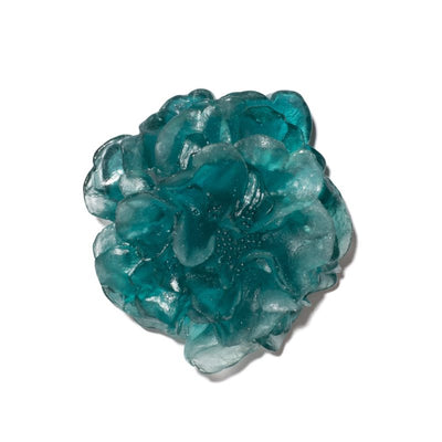 #Colour_Teal