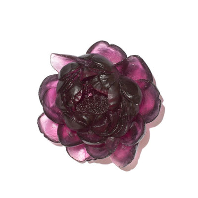 #Colour_Gold-Amethyst