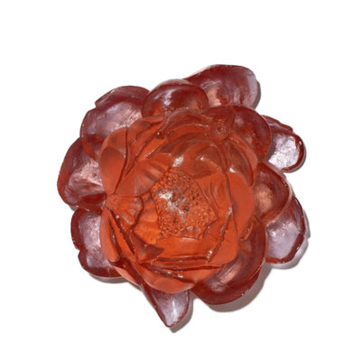 #Colour_Rose