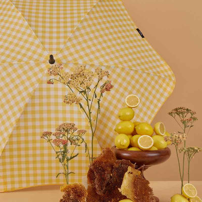 Classic Lemon & Honey 2024