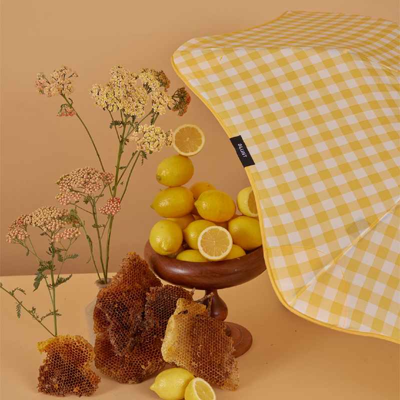 Classic Lemon & Honey 2024