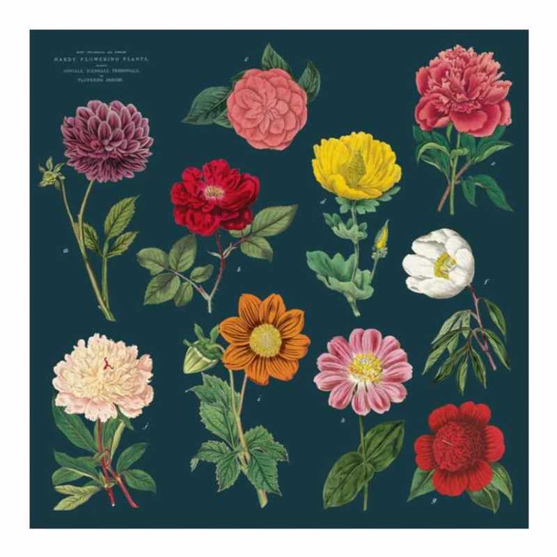 Cloth Napkins Botany Set of 4