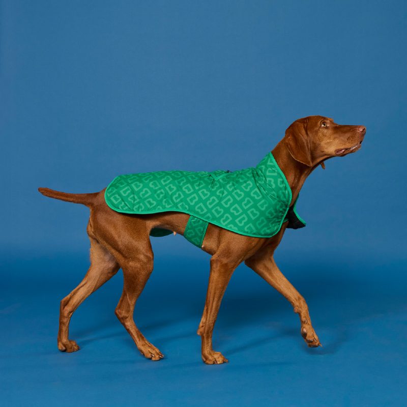 Dog Coat Medium