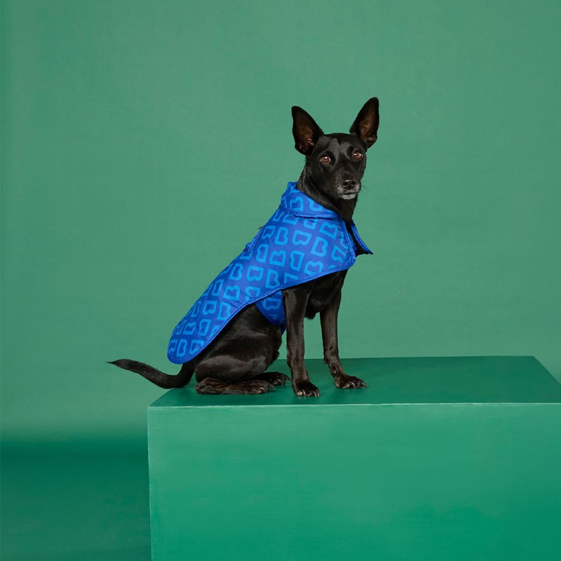 Dog Coat Small