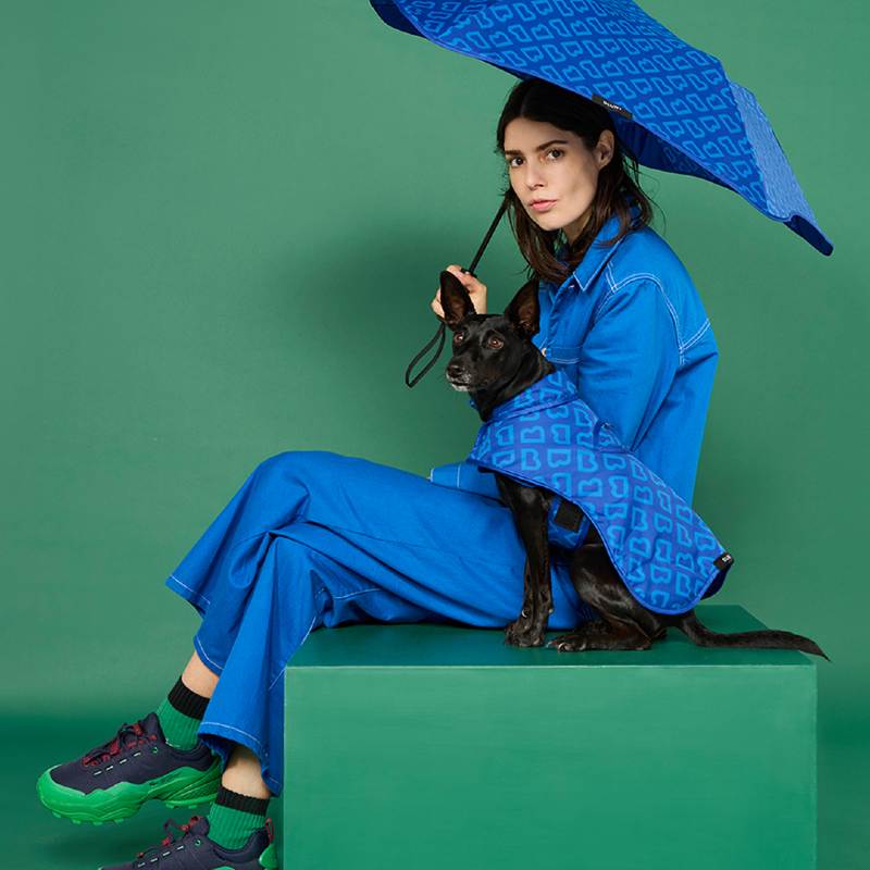 Dog Coat Small