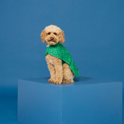 Dog Coat Small