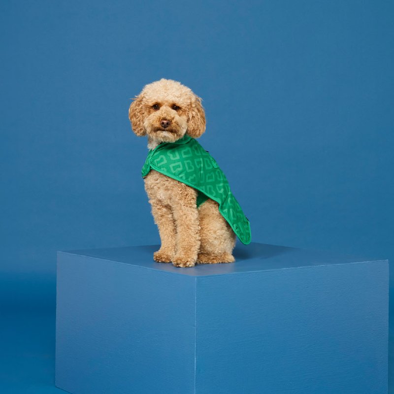 Dog Coat Small