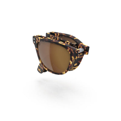 #Colour_Tortoishell-Brown