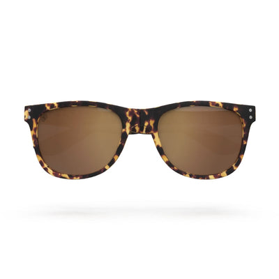 #Colour_Tortoishell-Brown