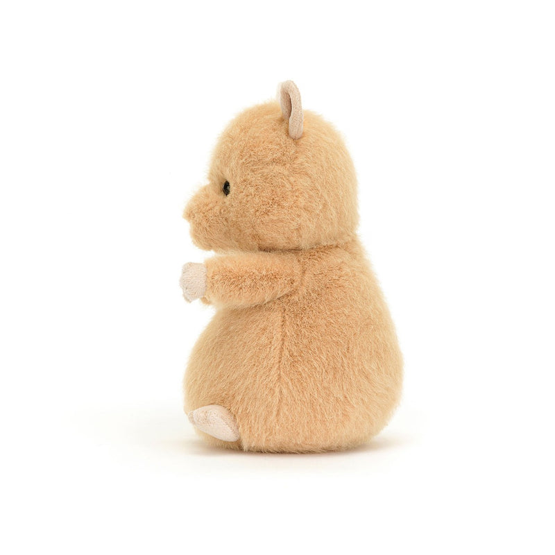 Hank Hamster