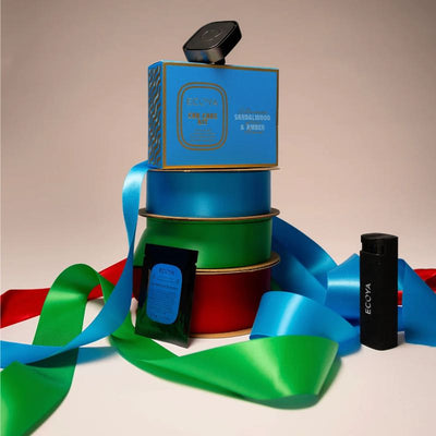 Holiday Collection Car Care Kit