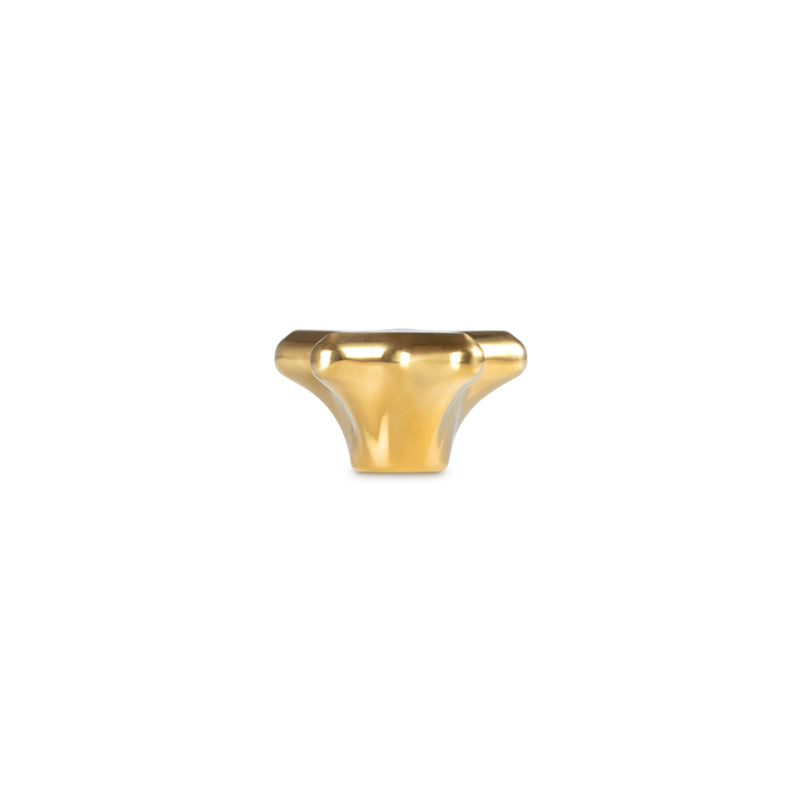 Knob Gold Star Blister Pack