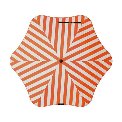 #Colour_Spritz