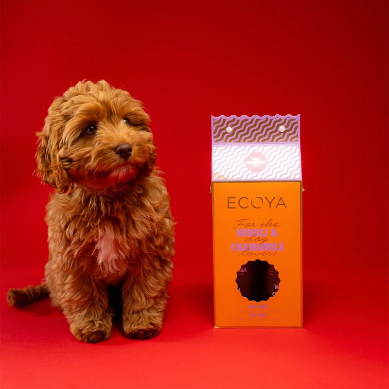 Neroli & Chamomile Dog Grooming Set