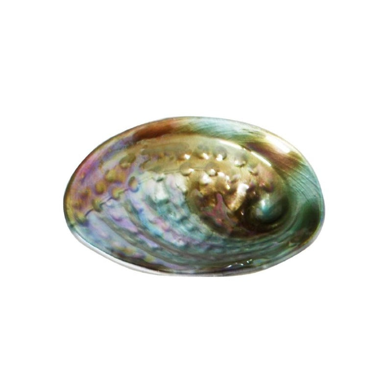 Paua Bowl Glass