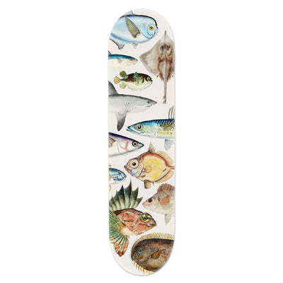 Skateboard Deck Fishes Of New Zealand