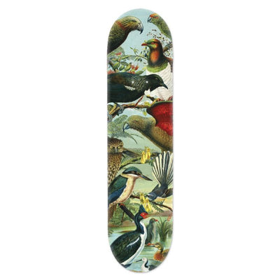 Skateboard Deck Native Birds Of New Zealand