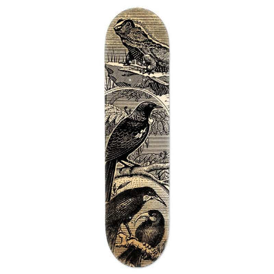 Skateboard Deck Stamp Tuatara