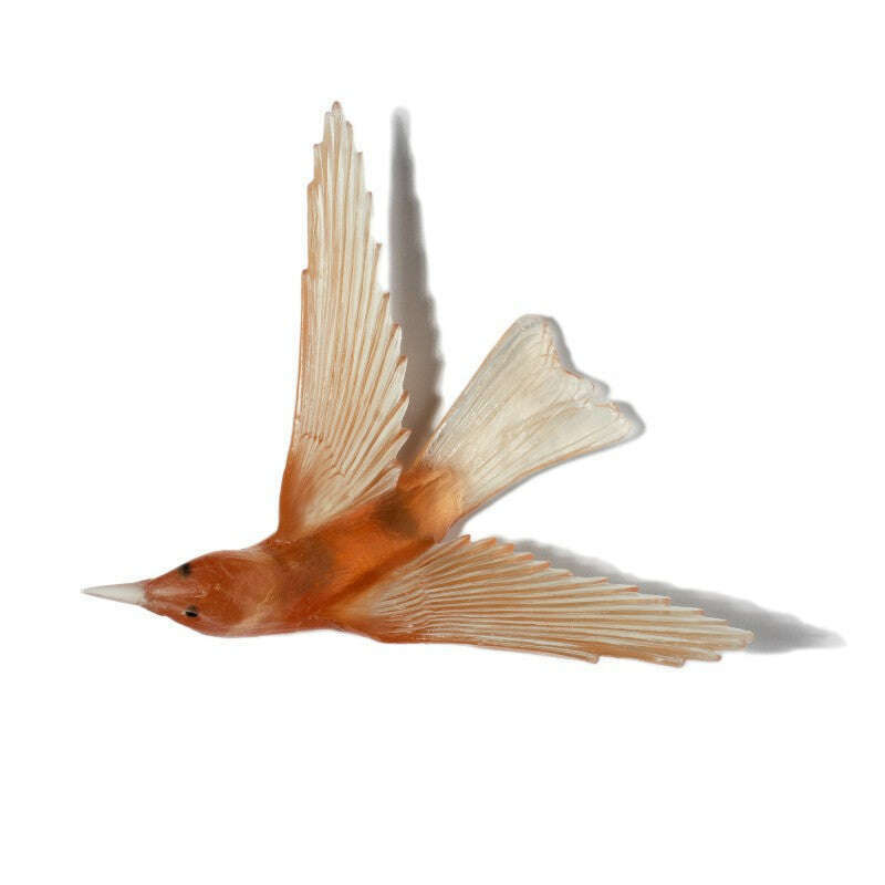 Cast Glass Bird Korimako/Bellbird