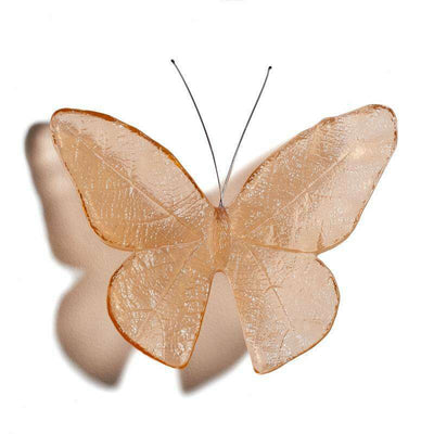 Cast Glass Kinetic Mount Butterfly Kakahu/Monarch