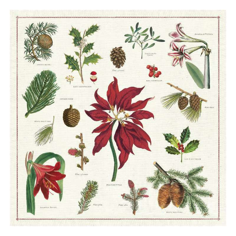 Christmas Botanical Napkins Set of 4