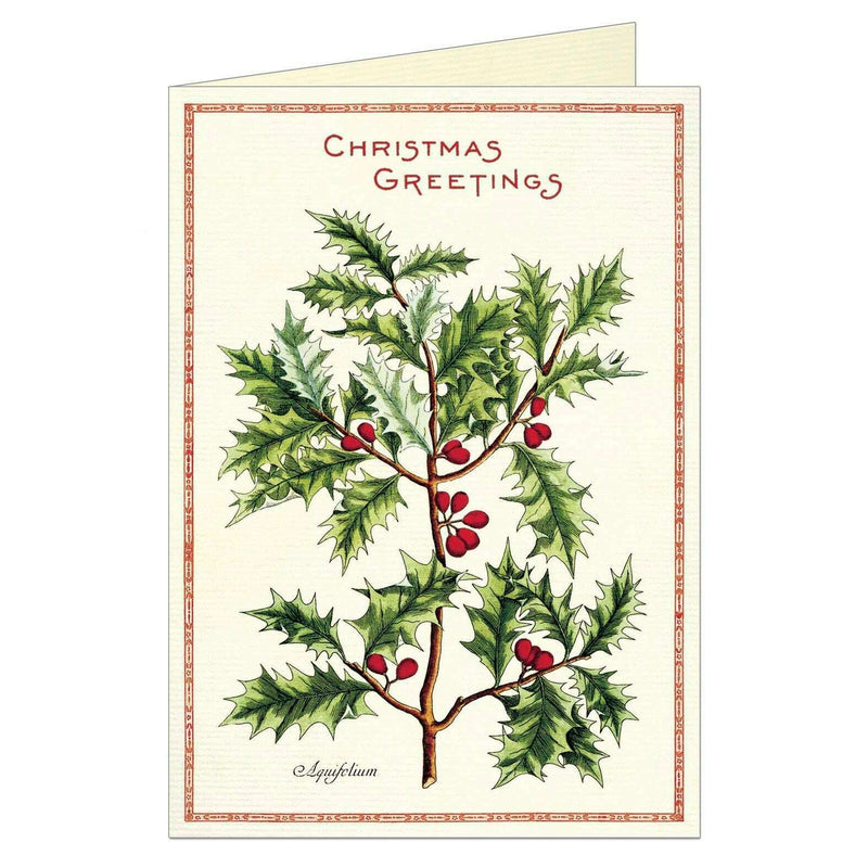 Christmas Card Christmas Holly Branch