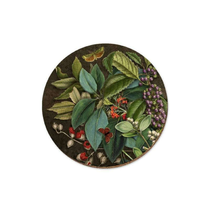 Coaster Mahoe & Titoki Berries