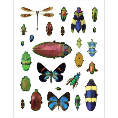 Incrediable Insects Sticker Book