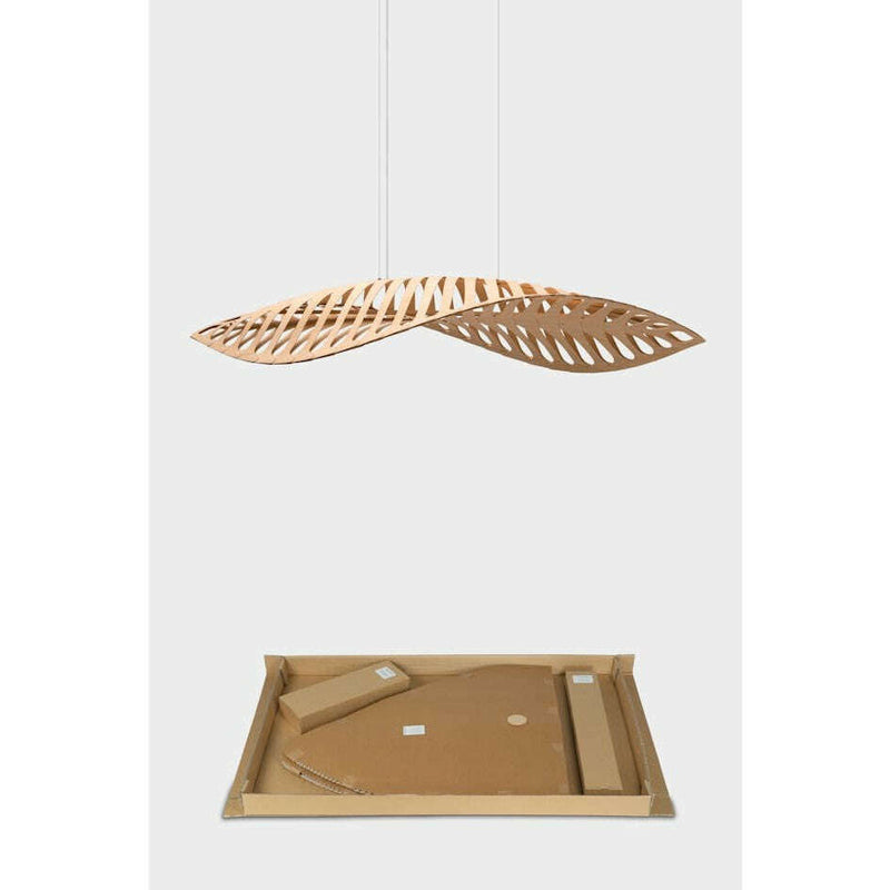 Navicula Lamp