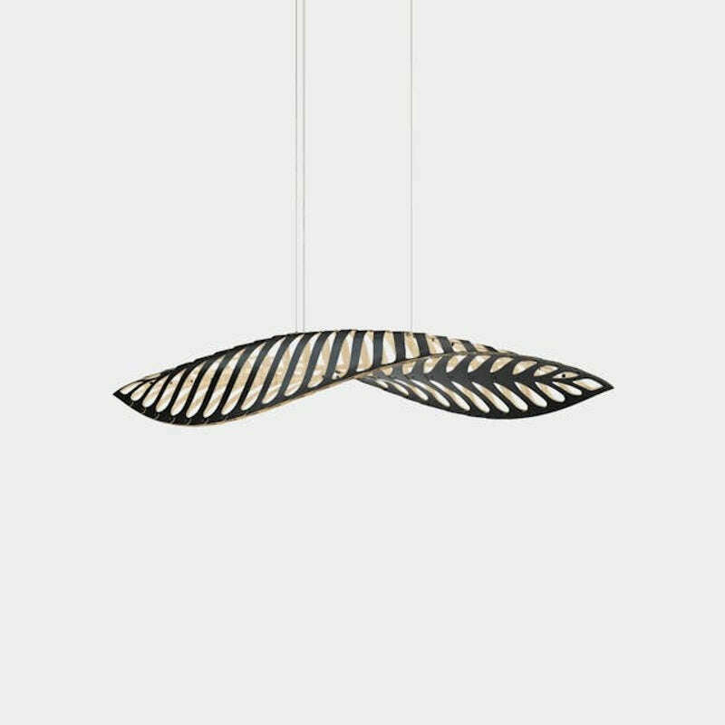 Navicula Lamp