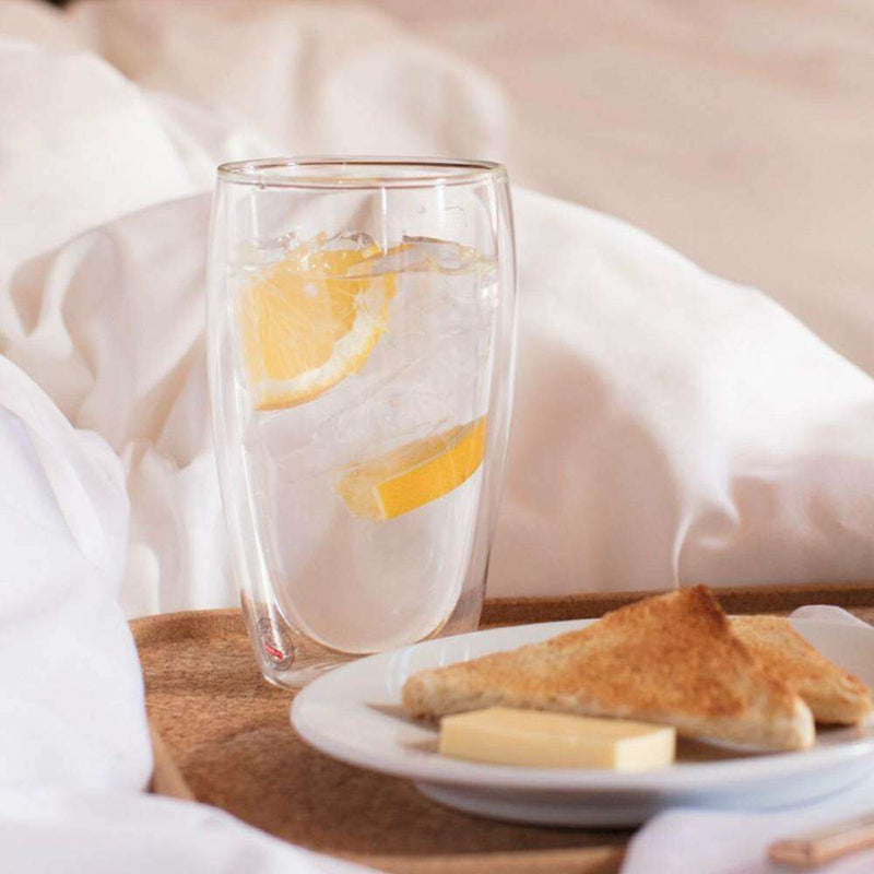 Pavina Double Wall Thermo Glasses Set of 2 450ml