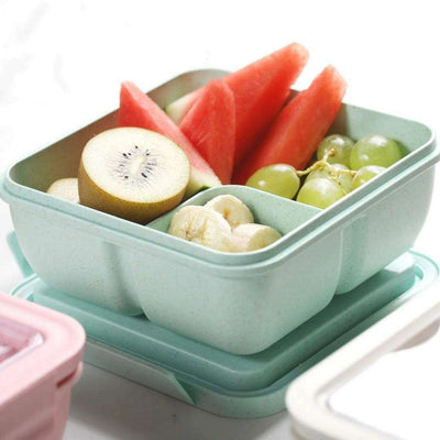 Poppy Large Bento Box