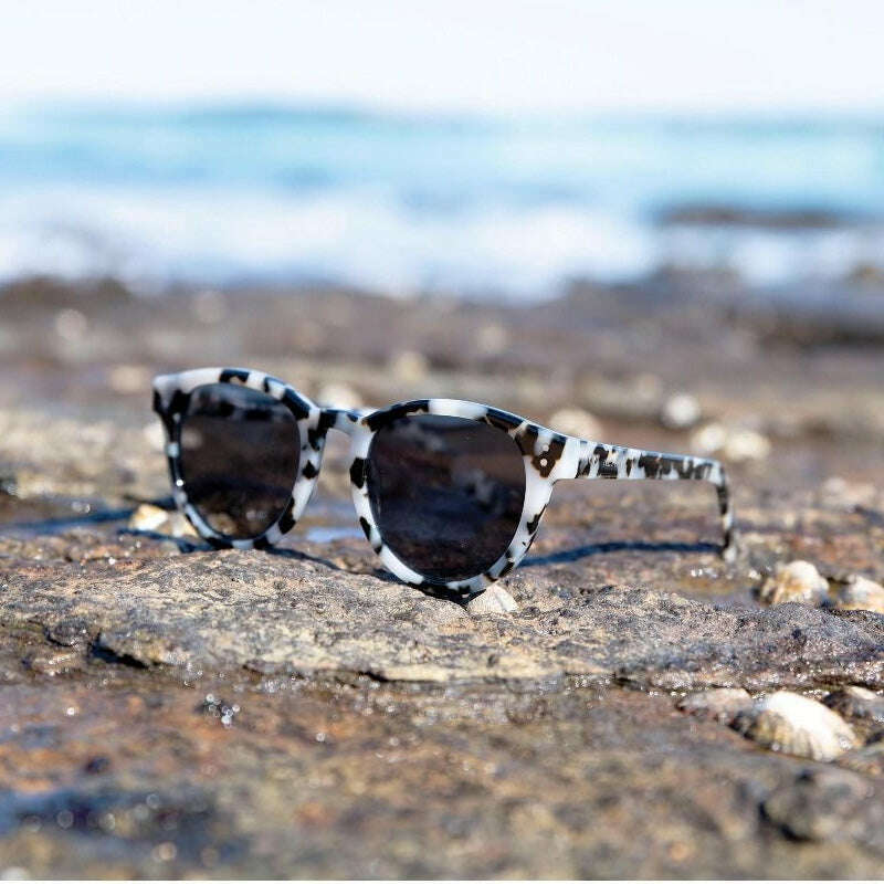 Sunglasses Riley White Tortoiseshell