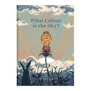 Book- What Colour Is The Sky?