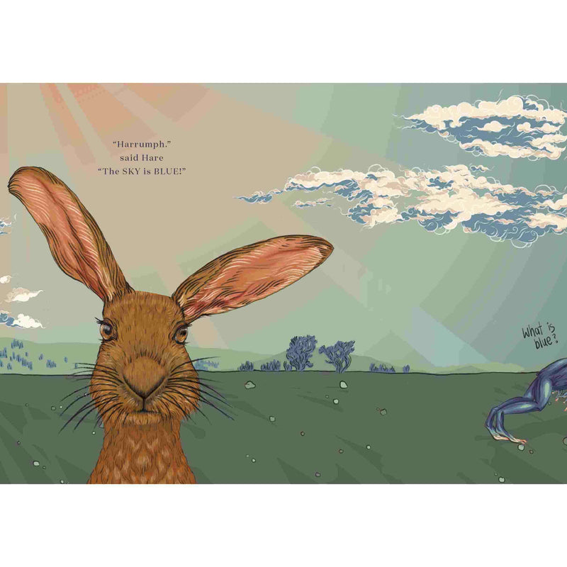 Book- What Colour Is The Sky?