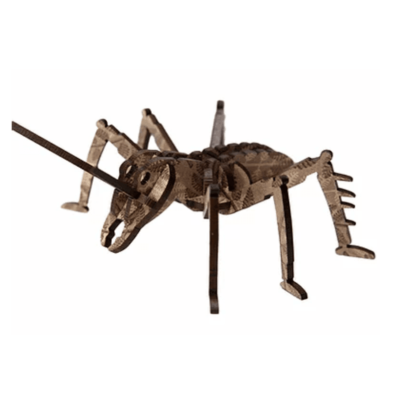 Extra Small FP Weta Fern Brown