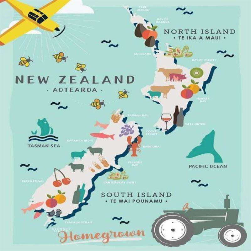 NZ Map Homegrown Lens Cloth
