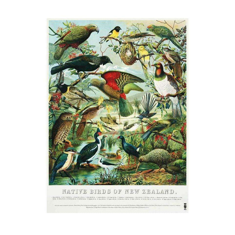 Teatowel- New Zealand Native Birds
